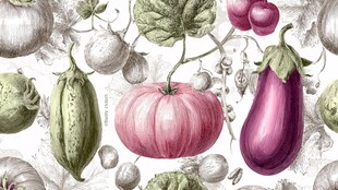 手绘多彩蔬菜图案