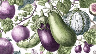 手绘田园风蔬菜水果图案