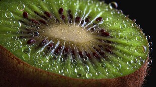 水润猕猴桃切片特写