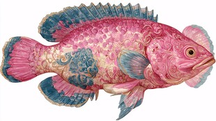 梦幻花纹粉色鱼插画
