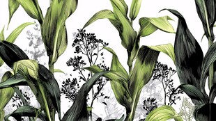 清新绿植花卉图案背景