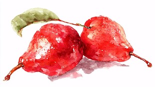 水彩绘红梨 清新水果图