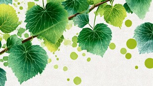 清新绿叶水彩背景图