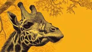 长颈鹿特写 背景金黄树叶