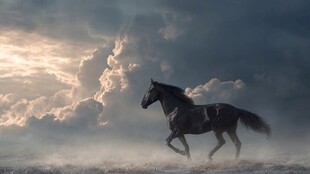 旷野骏马踏云奔腾