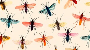多彩昆虫无缝图案背景