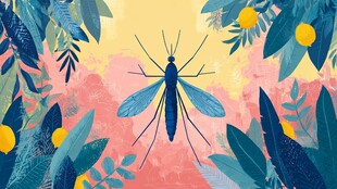 夏日丛林中的大蚊子