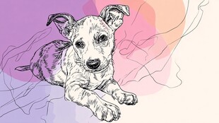 趴着的可爱小狗插画