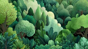 梦幻绿色森林景观插画