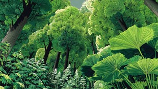 梦幻绿意森林景观