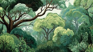 翠绿森林 生机盎然的景致