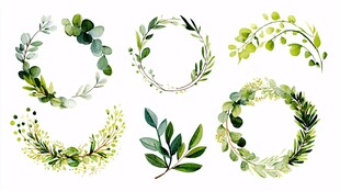 清新绿植花环水彩插画