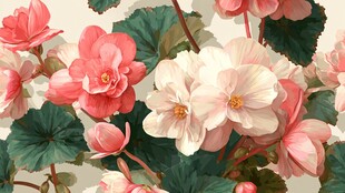 海棠花卉美丽插画图案