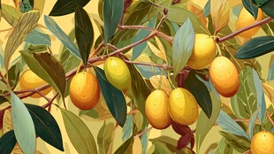 枝头黄果绿叶图