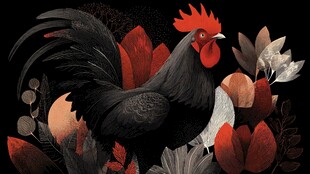 黑公鸡置身多彩花叶间