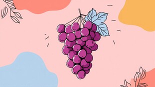 手绘紫葡萄插画