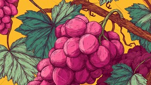 手绘紫葡萄与绿叶插画