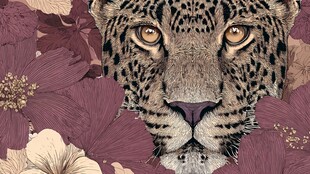 豹影繁花 野性与柔美交织