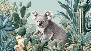 考拉置身繁茂绿植间