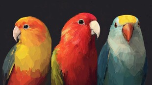 三只多彩鹦鹉的艺术呈现