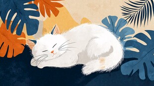 酣睡的白猫与多彩叶片