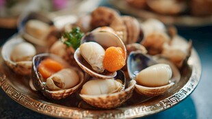 鲜美的蛤蜊摆盘