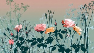 梦幻花丛中的多彩玫瑰