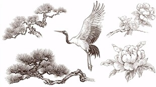松鹤牡丹手绘图案素材