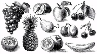 手绘多样水果集合图