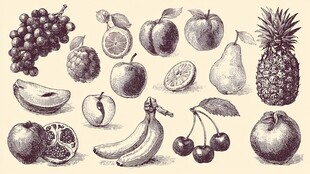 手绘水果集合图