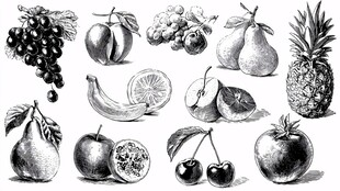 手绘黑白水果集合图