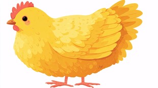 黄色可爱母鸡插画形象