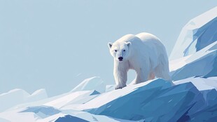 北极冰原上的孤独北极熊