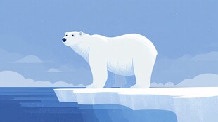 冰原上的北极熊