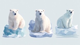 三只北极熊坐于浮冰上