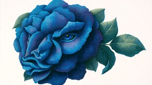 蓝玫瑰中的神秘之眼