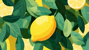 柠檬绿叶插画 清新视觉盛宴