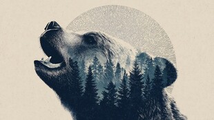 熊与森林的奇幻融合画面