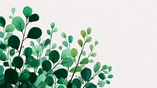 清新绿叶水彩背景图