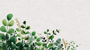 清新绿植边缘装饰图案