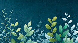 清新绿植背景图
