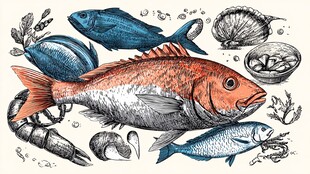 手绘海洋鱼类及海鲜集合