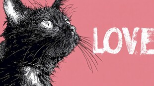 黑猫凝视 LOVE 艺术插画