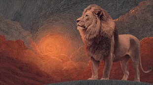 草原雄狮守望壮丽日落