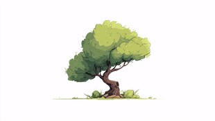单棵绿意盎然的弯曲树木