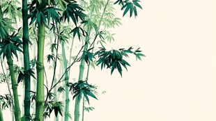 翠绿竹林 清新自然之景