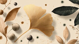 银杏叶与多样植物装饰画