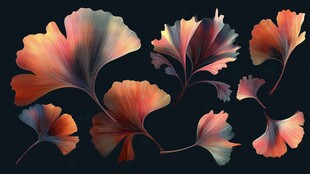 绚丽多彩银杏叶艺术插画