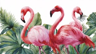 三只火烈鸟与热带植物