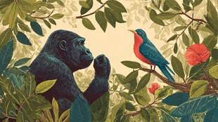 丛林中猩猩与鸟儿的邂逅